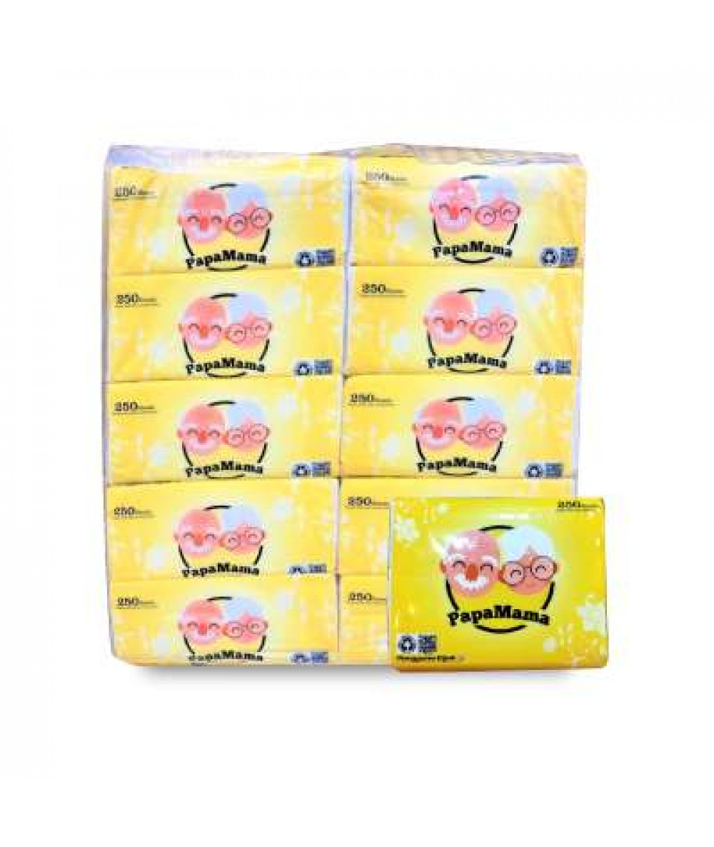 Papamama Tissue*10 (10x250's)-BAG